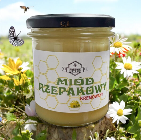 Miód rzepakowy kremowany