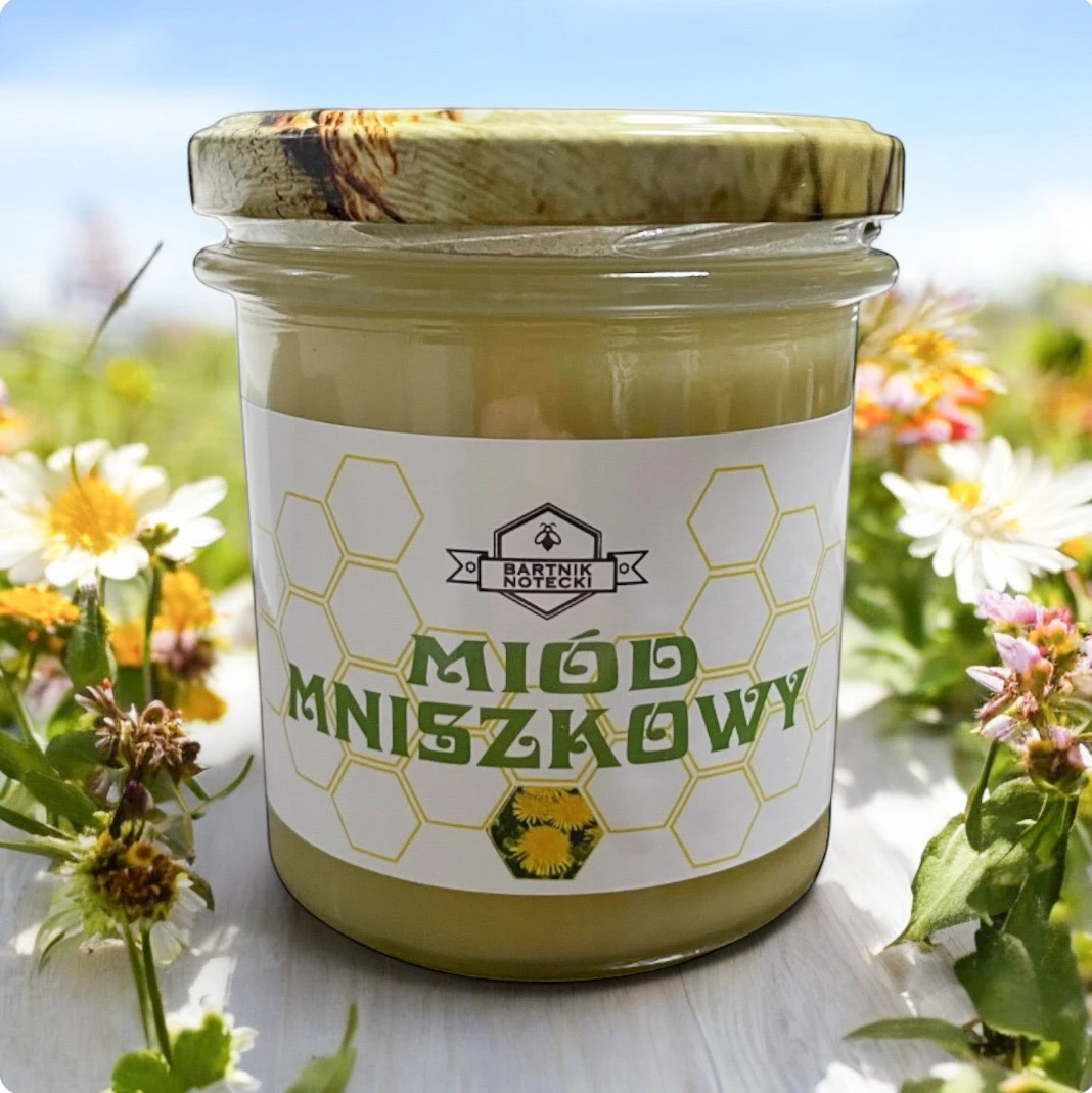 Miód mniszkowy