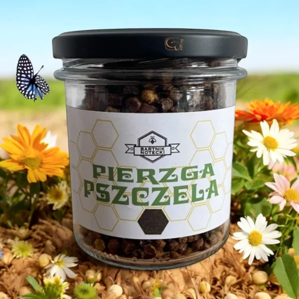 Pierzga pszczela