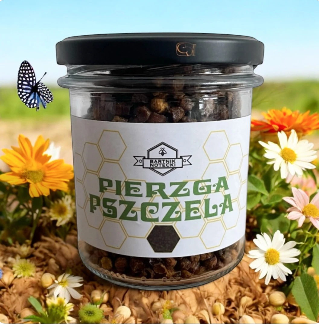 Pierzga pszczela